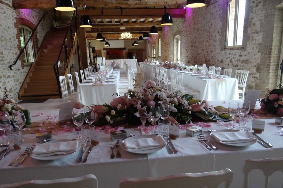 Galerie Décembre 2025 (13)